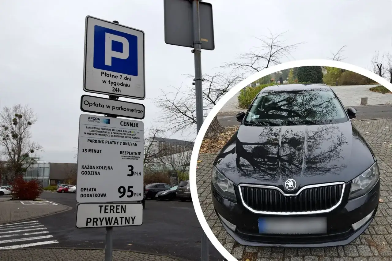 Znak informuje o płatnym parkingu 24/7, opłatach w parkometrze i cenniku. Teren prywatny, grozi mandat za parkowanie na terenie wspólnoty mieszkaniowej.