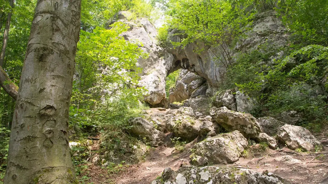 Rezerwat Parkowe Złoty Potok, Brama Twardowskiego