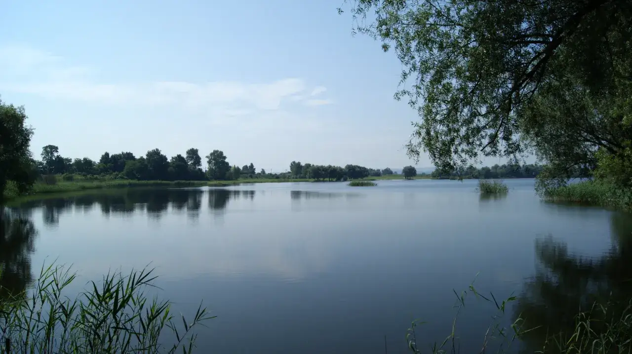 Jezioro Rożnowskie wędkowanie krajobraz