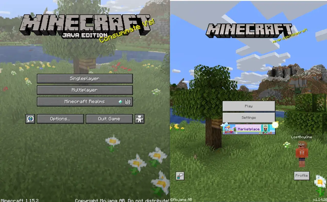 Minecraft Java vs Bedrock comparison screenshot