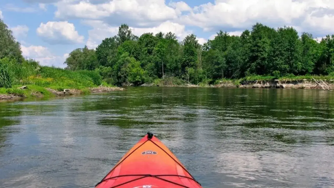 Spływ kajakowy rzeką Bukową Lasy Janowskie