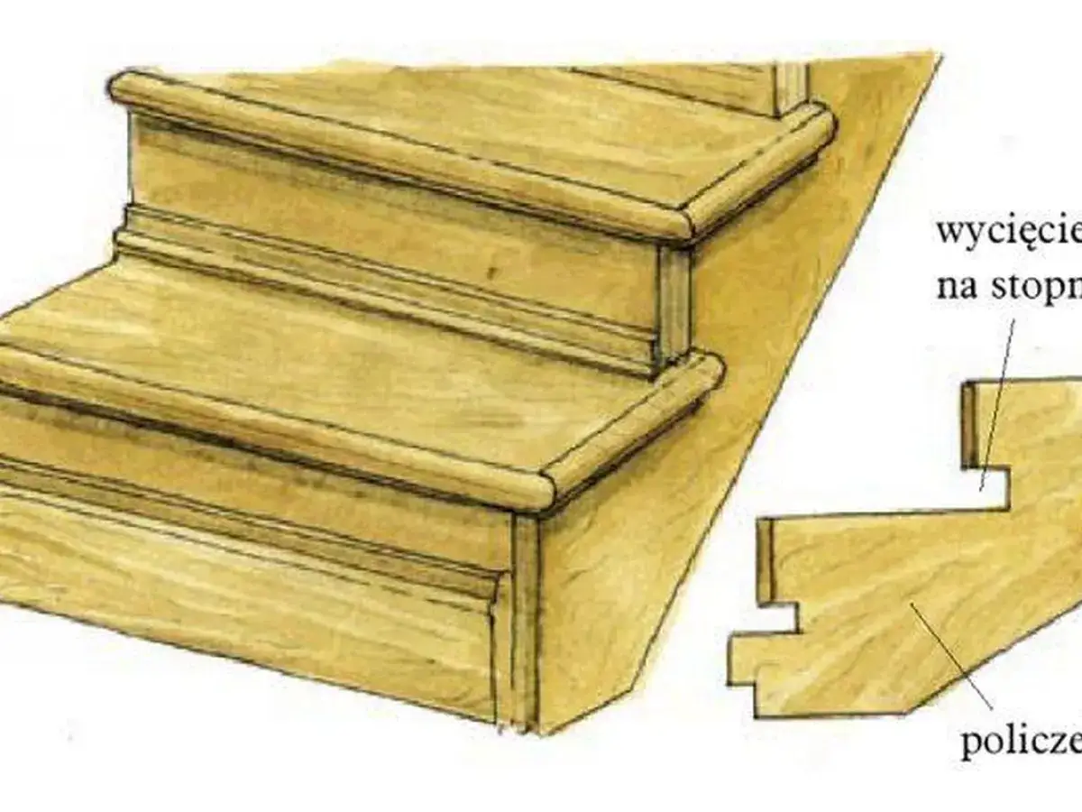 różne gatunki drewna na schody dąb jesion buk sosna