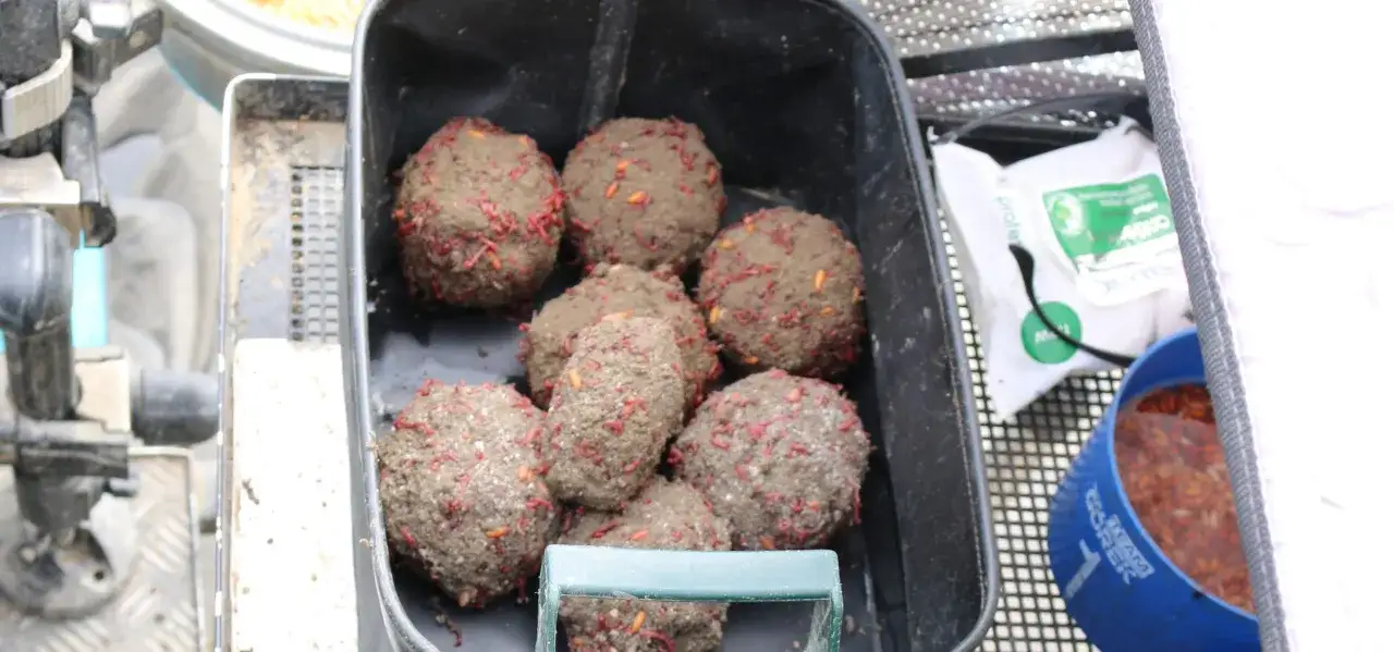 Składniki zanęty na okonia: posiekane robaki, ochotka, glina wędkarska