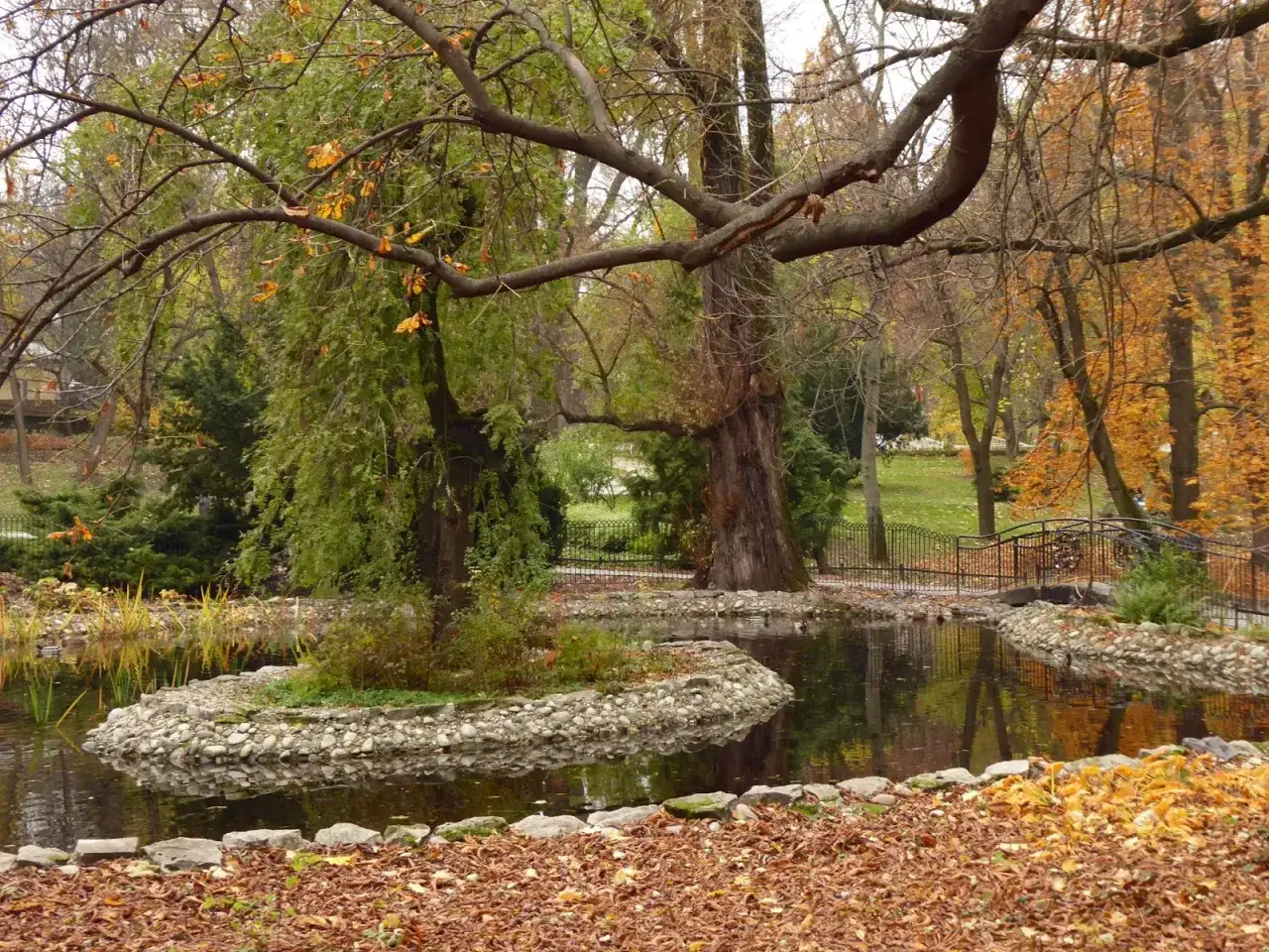 Parkowy staw z wyspą, mostkiem i opadłymi liśćmi. Wiersz o końcu lata.