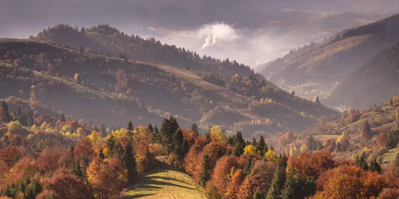 Jesienne Tatry w październiku. Mgła otula zbocza g&oacute;r, a drzewa mienią się odcieniami złota i czerwieni.