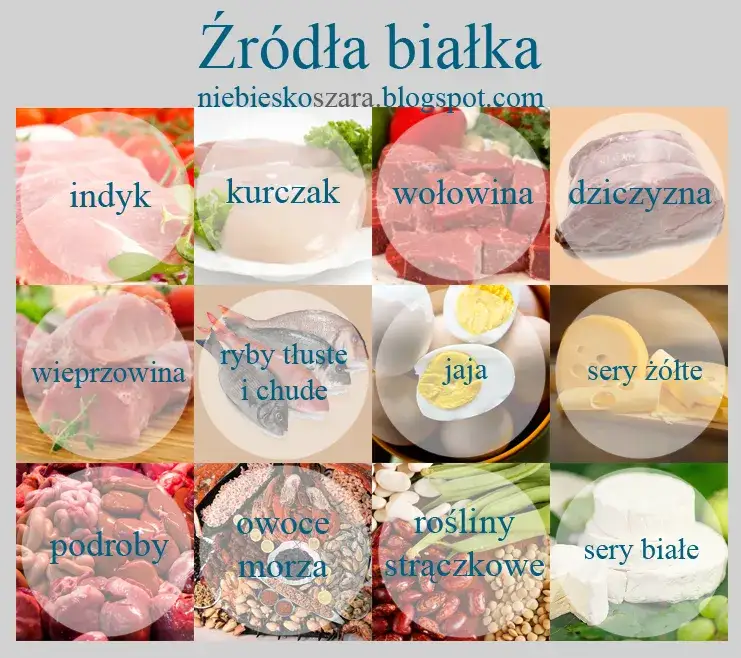 różnorodne źródła białka