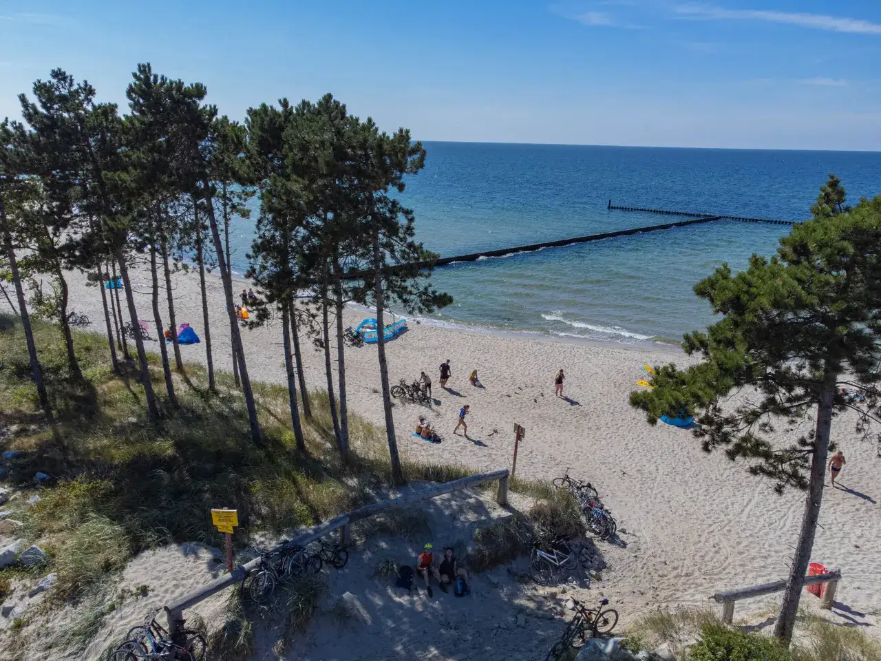 Plaża z sosnami, rowerami i ludźmi odpoczywającymi na piasku. Idealne miejsce dla szukających najpiękniejszych miejscowości nad morzem.