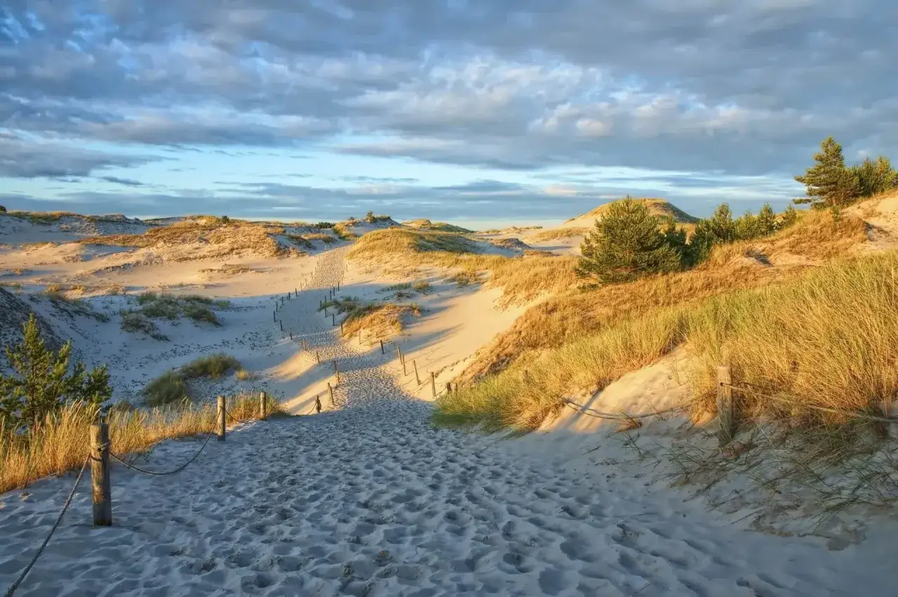 Ścieżka przez piaszczyste wzgórza, gdzie widać, jak powstają wydmy. Słońce oświetla trawę i piasek, tworząc długie cienie.