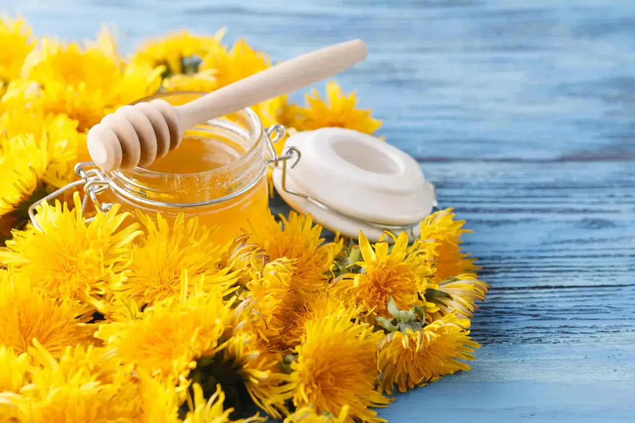 Słoik ze złotym syropem z mniszka, otoczony świeżymi kwiatami, gotowy do przygotowania według przepisu.