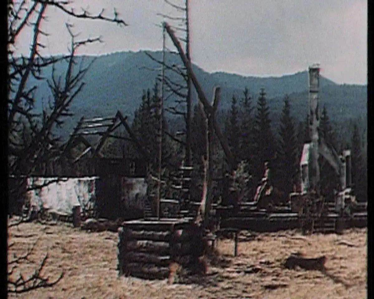 Film Wilcze echa Derenica scenografia