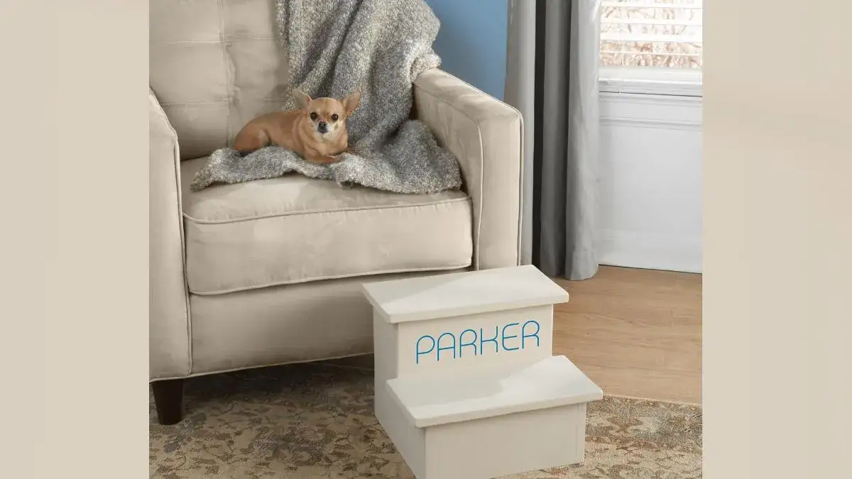 Zdjęcie Jak zrobić schody dla psa w 5 prostych krokach: kompletny poradnik DIY