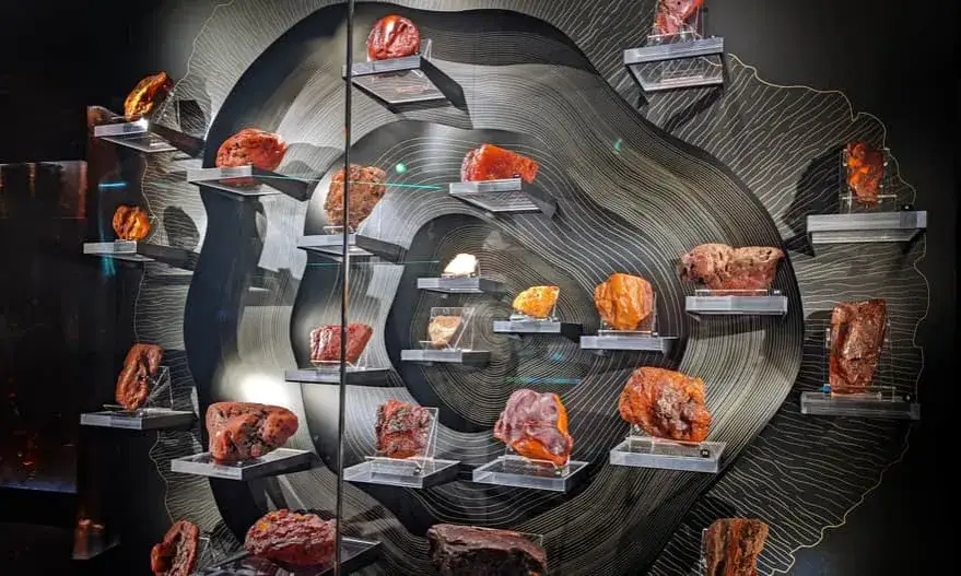 Zdjęcie Oddziały gdańskiego Muzeum Bursztynu - lokalizacje wystaw