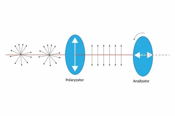 Zdjęcie Polaryzacja w fizyce: co to jest i jak wpływa na światło?