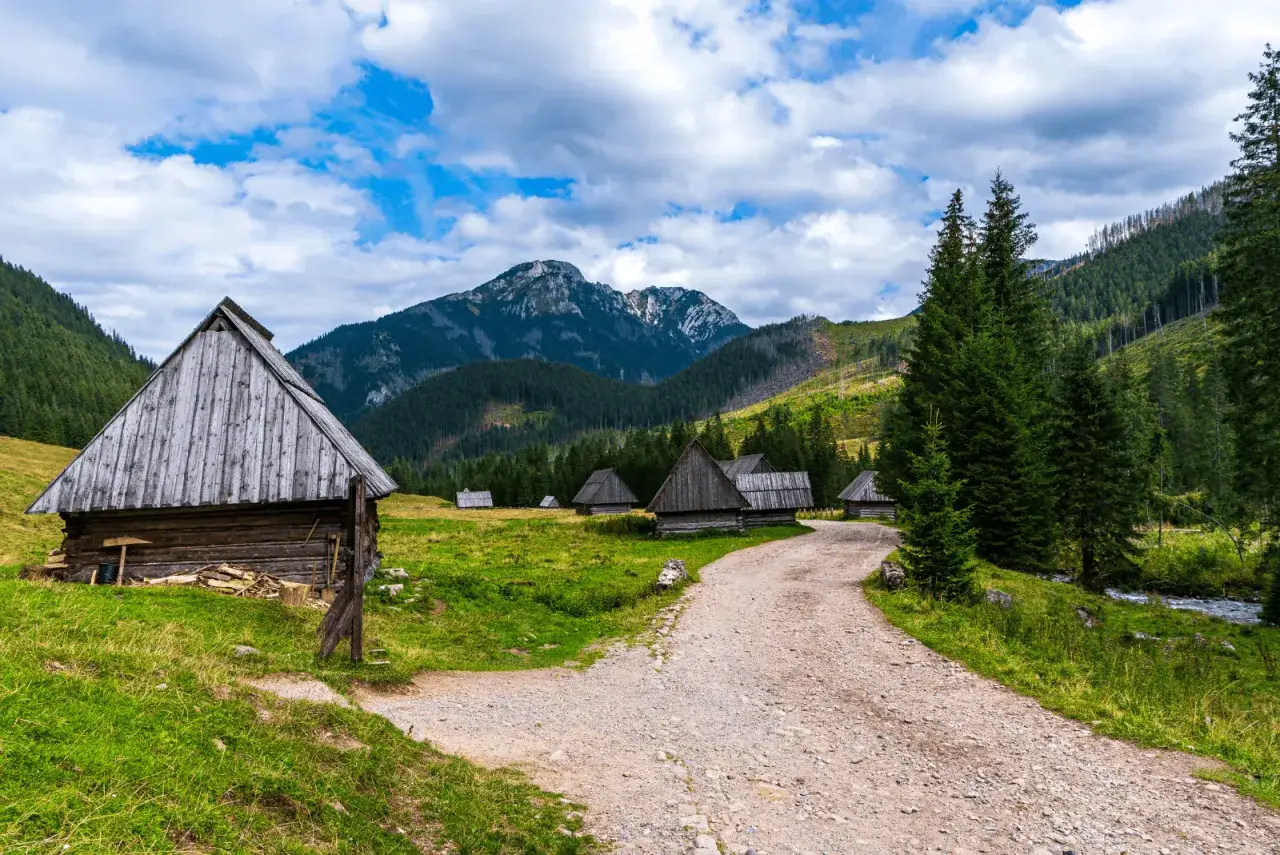 Zdjęcie Trasy rowerowe Zakopane: Odkryj najlepsze szlaki i ich trudności