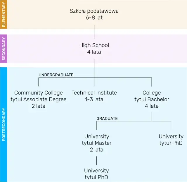 Zdjęcie Ile trwa liceum? Poznaj czas nauki w szkole średniej