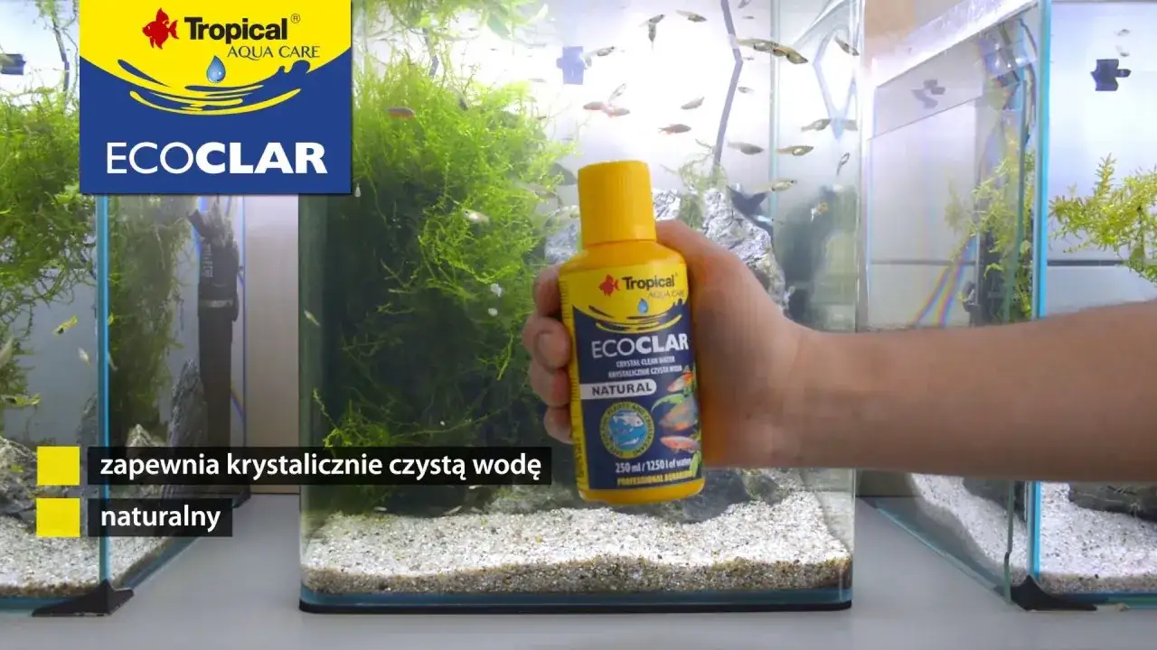 Zdjęcie Jak uzyskać krystalicznie czystą wodę w akwarium - 5 skutecznych metod