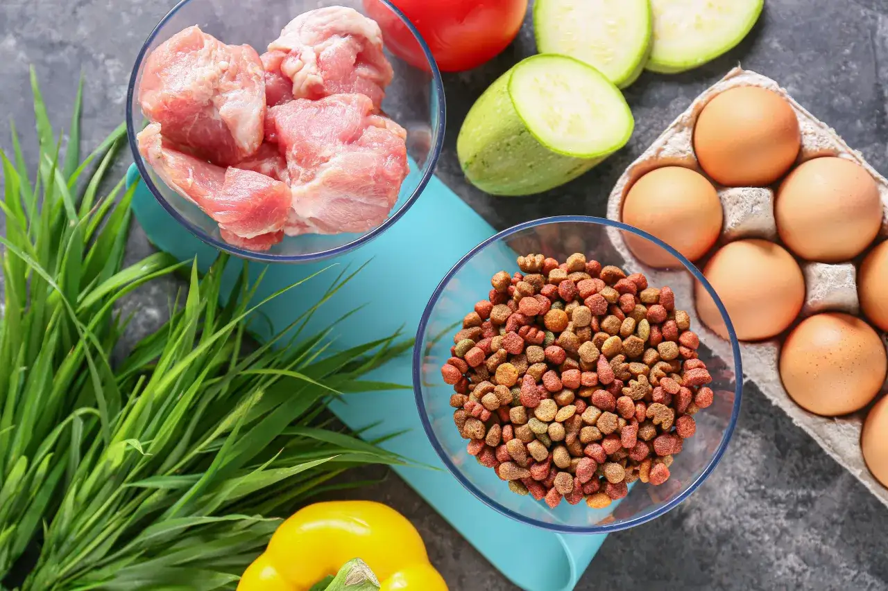 Zdjęcie Czy pies może jeść surowe mięso wieprzowe? Oto ryzyka i bezpieczne alternatywy