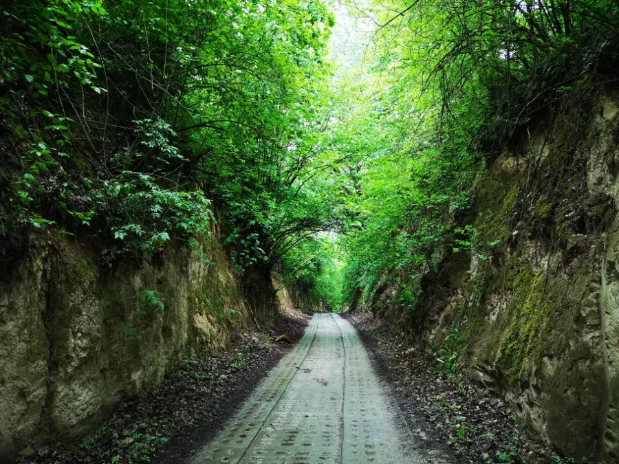 Zdjęcie Lublin i Okolice: Gdzie Pojechać na Niezwykły Weekend Pełen Wrażeń?