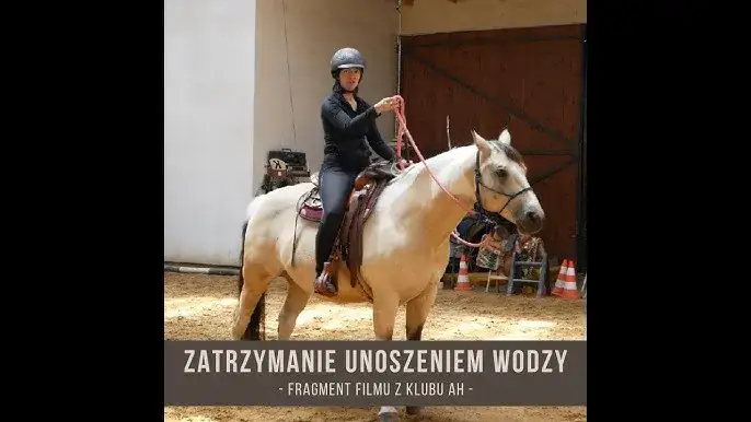 Zdjęcie Jak zatrzymać konia: skuteczne metody i techniki dla każdego jeźdźca