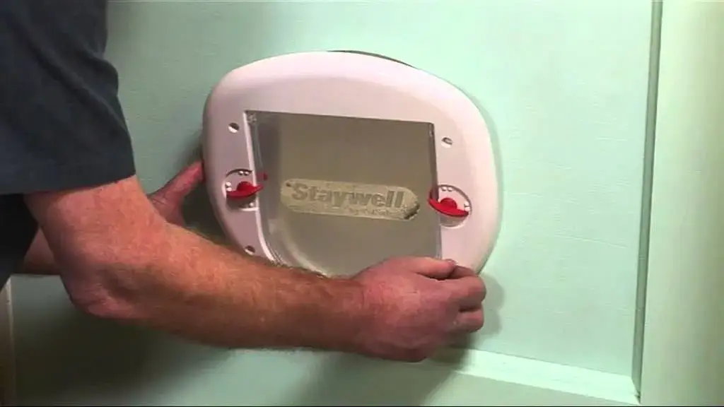 Zdjęcie Jak samemu zrobić drzwiczki dla psa – proste kroki i porady, aby uniknąć błędów