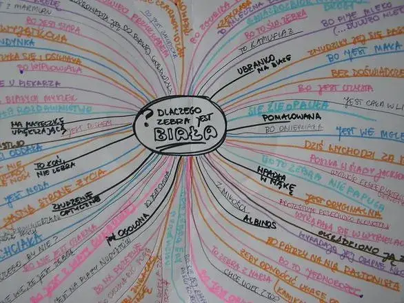 Uczeń tworzący mapę myśli z biologii
