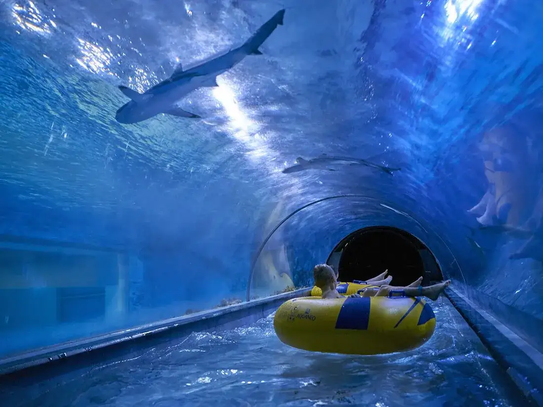 Aquapark Reda zjeżdżalnia z rekinami