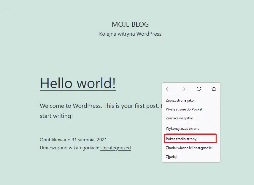 kod źródłowy strony wordpress themes