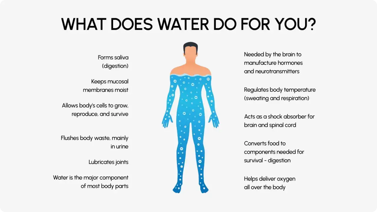 Co daje picie wody? Nawodnienie organizmu wspiera trawienie, reguluje temperaturę, nawilża błony śluzowe, pomaga kom&oacute;rkom rosnąć i usuwa odpady.