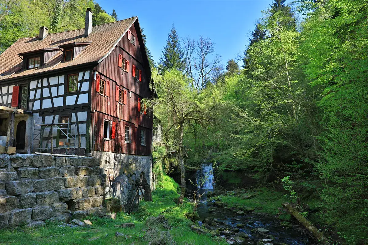 Wandern Schw&auml;bischer Wald Natur
