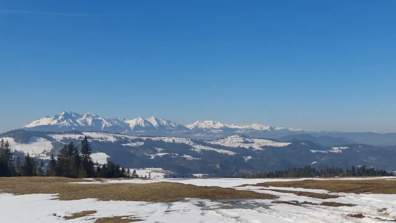 Zimowy krajobraz z ośnieżonymi szczytami Tatr w oddali. Na pierwszym planie widać resztki śniegu i brązową trawę. Widok z okolic radziejowa szczyt.