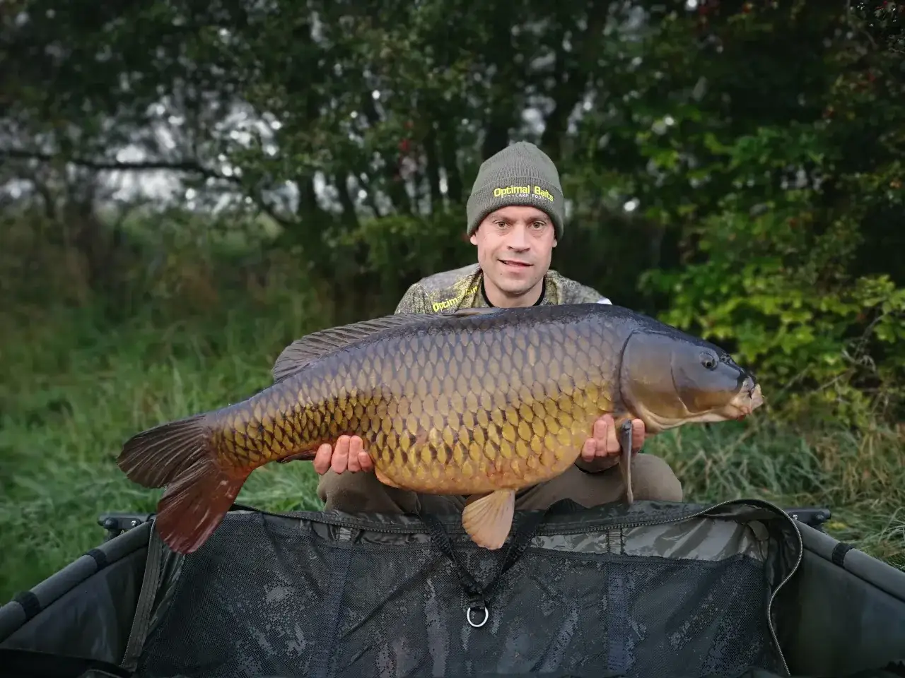 Wędkarz z dumą prezentuje okazałego karpia, złowionego na kulki na karpia. Ryba lśni w słońcu, a jej łuski mienią się złotem.