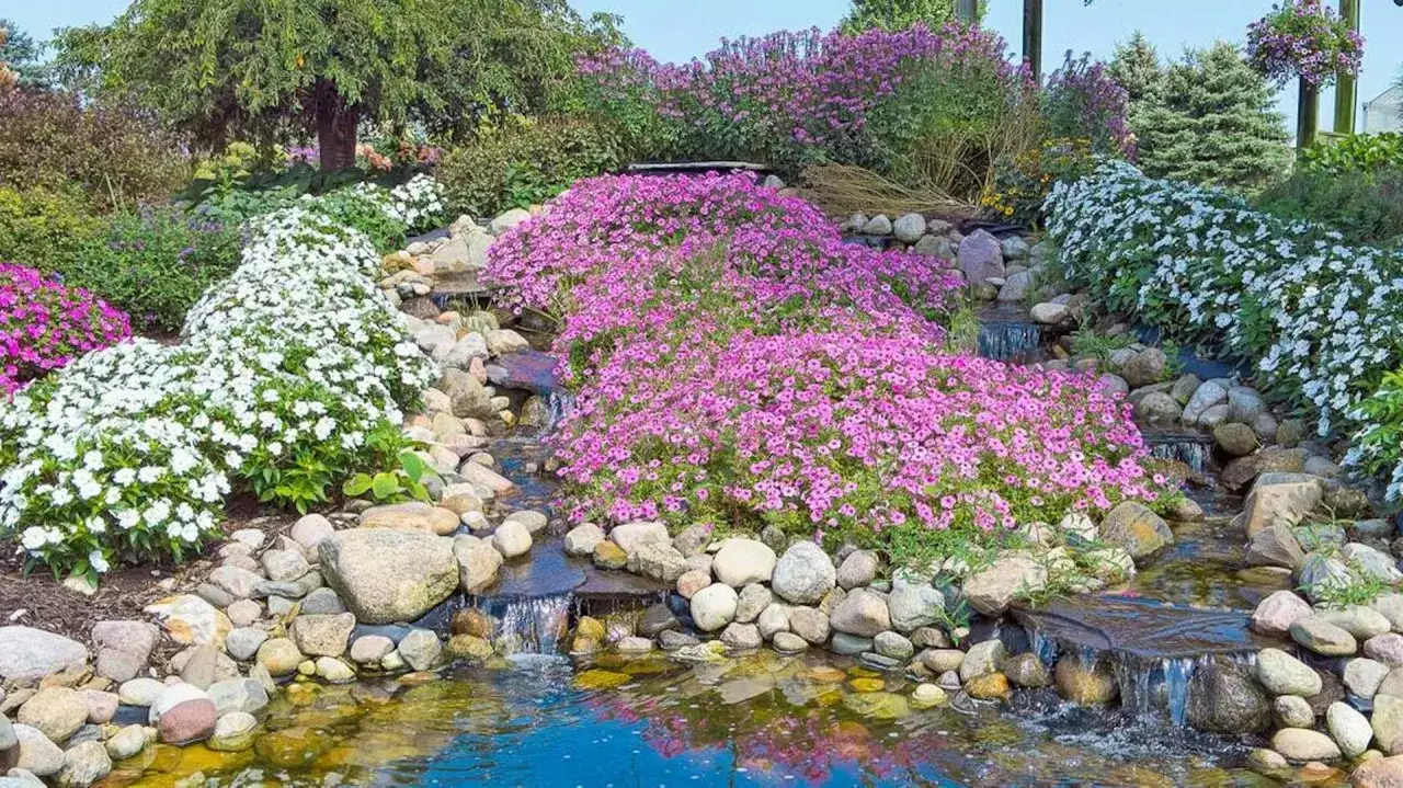Kwiatowa skarpa w ogrodzie inspiracje: kaskada wodna otoczona białymi i r&oacute;żowymi kwiatami, kamienie i bujna zieleń.