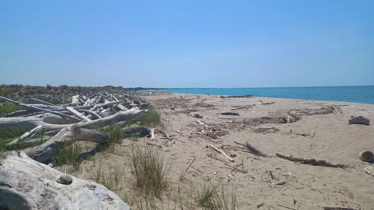 Dzika plaża Maremma Toskania Park Regionalny