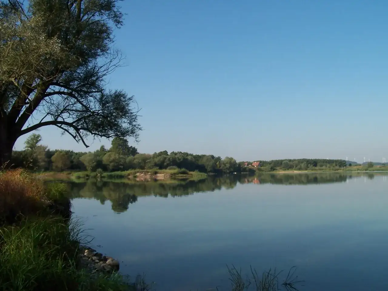 Mapa systemu rzecznego Odry w Szczecinie, Odra Zachodnia, Regalica, Międzyodrze