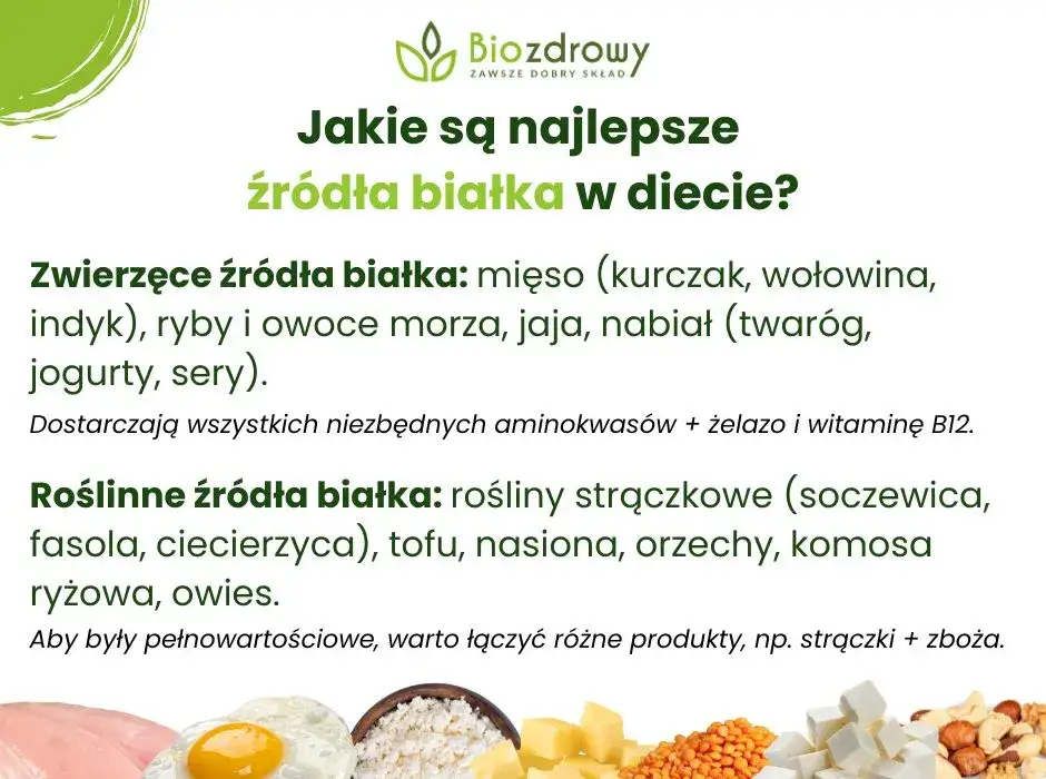 różnorodność roślinnych źródeł białka