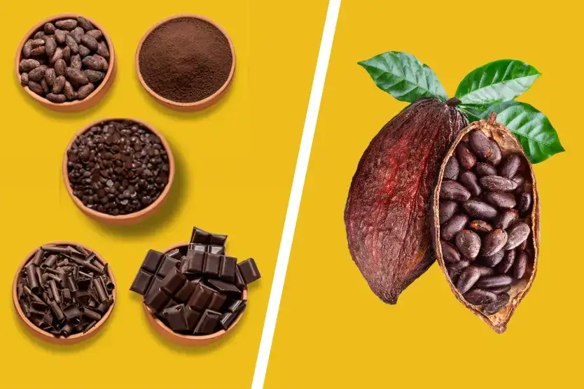 r&oacute;żnice między kakao surowym naturalnym alkalizowanym