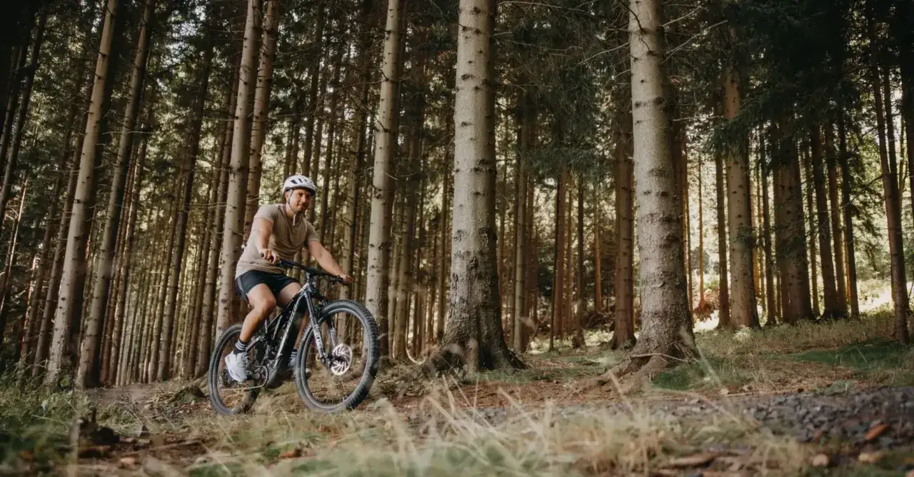 Sky Walk Świeradów-Zdrój