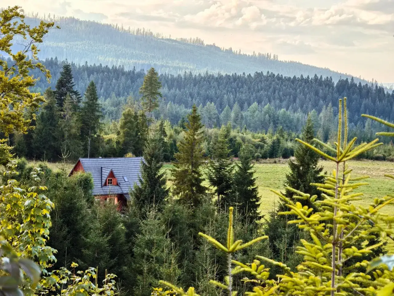 Szałas w lesie, ukryty wśr&oacute;d drzew, z widokiem na gęsty las i łagodne wzg&oacute;rza w oddali.