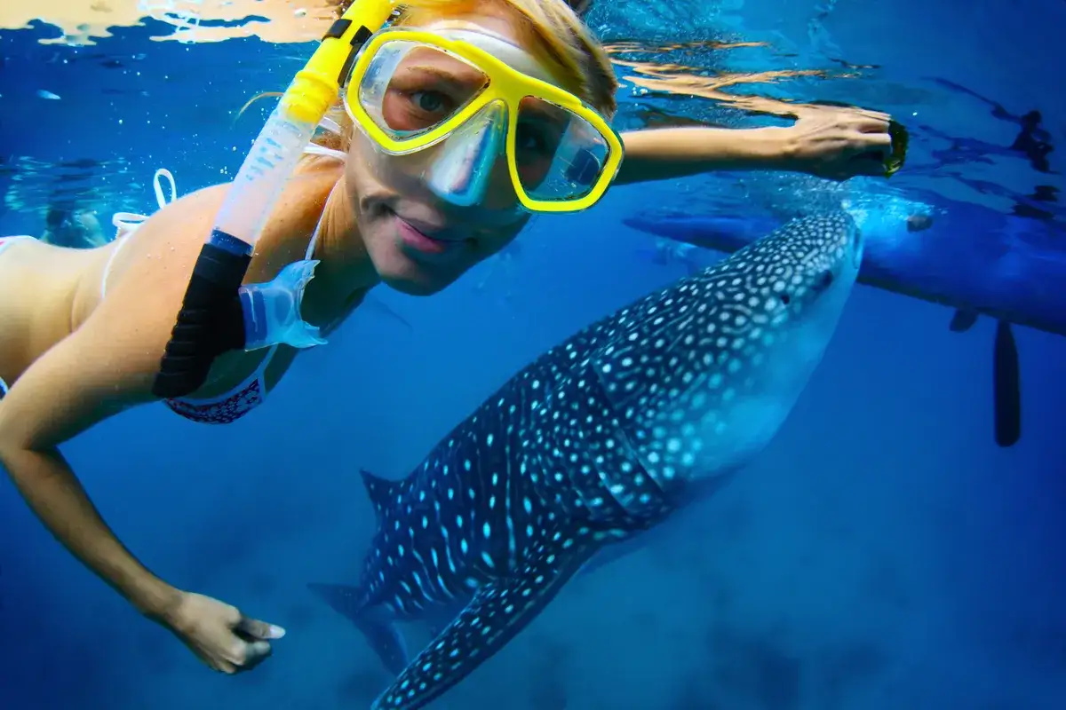 Kobieta w masce do snorkelingu pływa z rekinem wielorybim. Idealny czas, kiedy lecieć na Filipiny, by przeżyć takie chwile!
