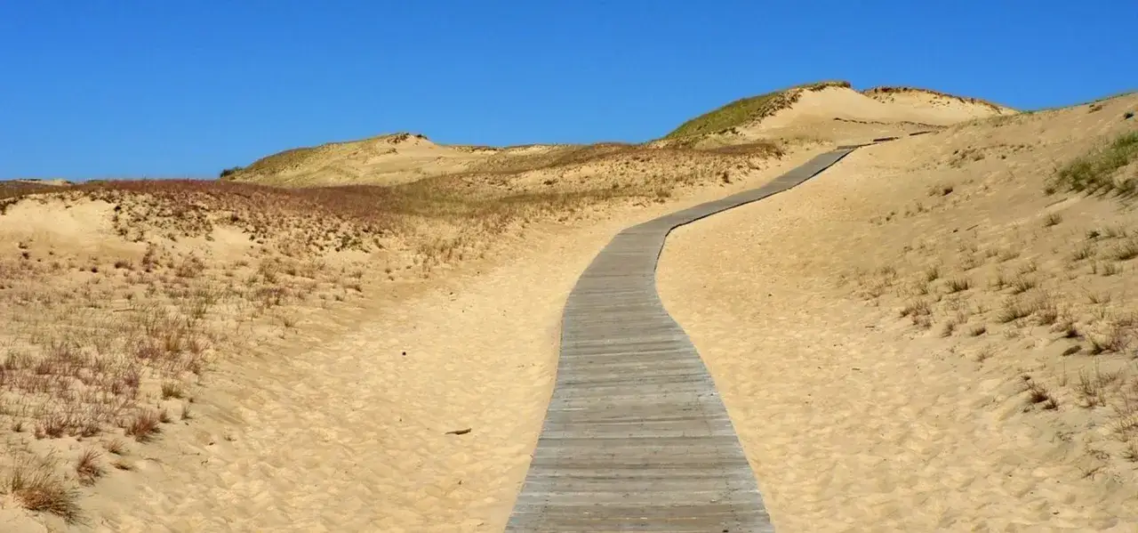 Drewniana ścieżka prowadzi przez piaszczyste wydmy pod błękitnym niebem. Czy Litwa ma dostęp do Morza Bałtyckiego? Tak, ten krajobraz może być dowodem.