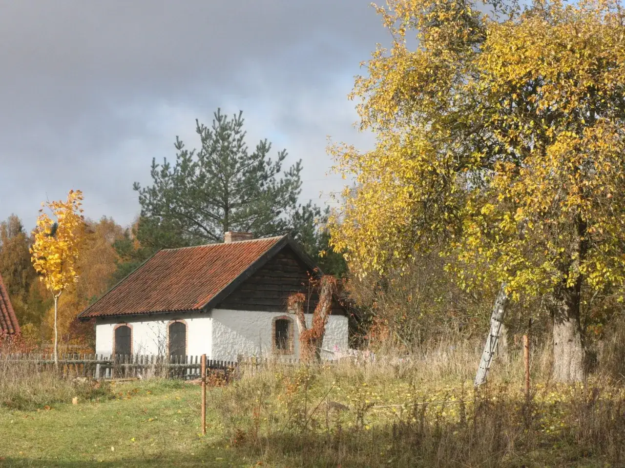 budynki gospodarcze w gospodarstwie rolnym, stodoła, obora, magazyn