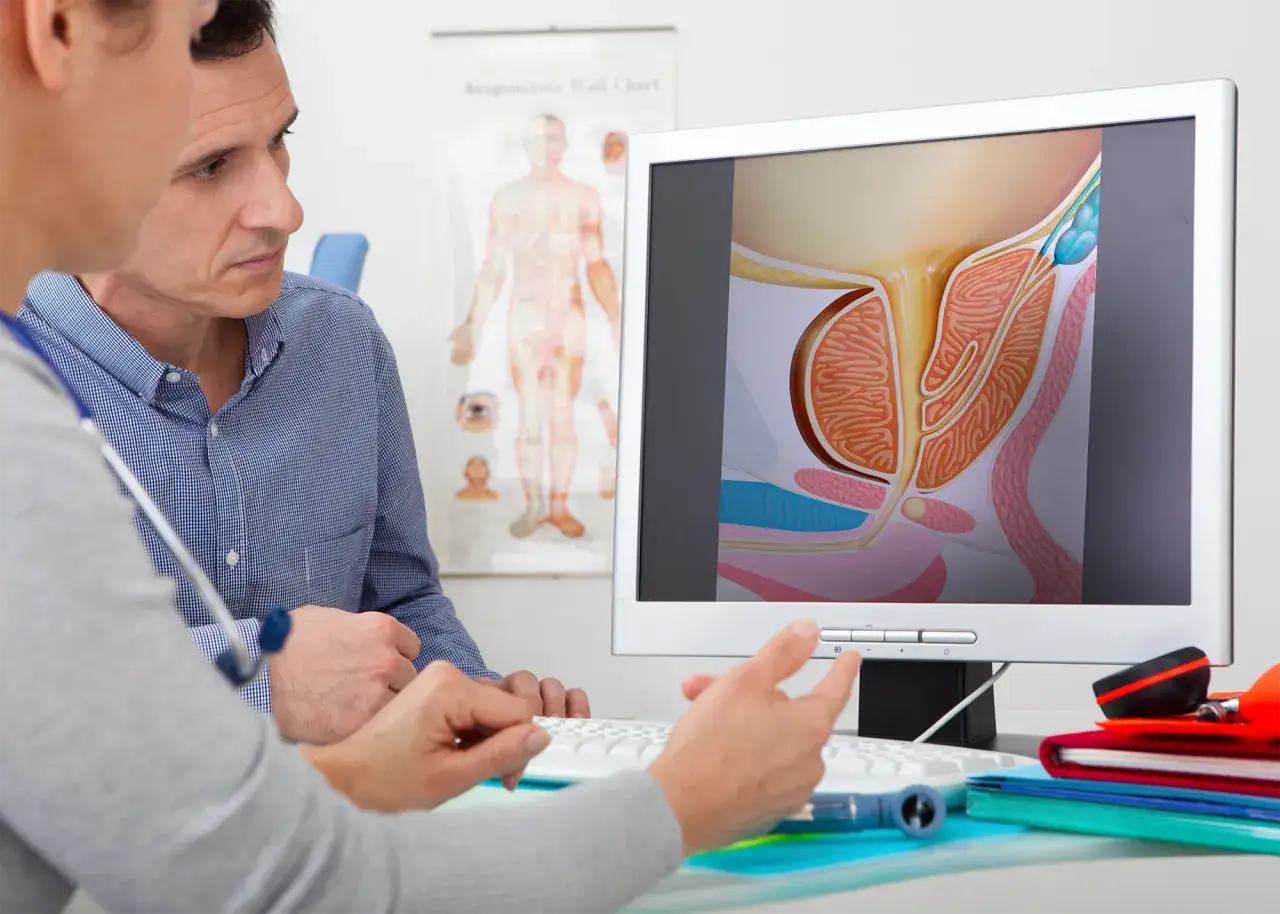 Lekarz pokazuje pacjentowi na ekranie komputerowym budowę gruczołu krokowego. Dowiedz się, ile kosztuje wizyta u urologa z usg.