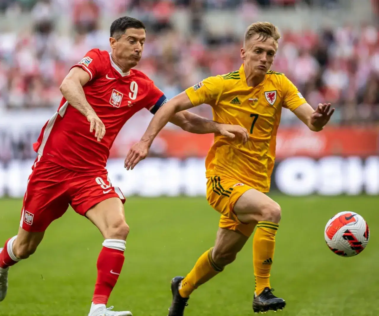 Zdjęcie Polska Walia statystyki: Jakie są szanse na zwycięstwo?