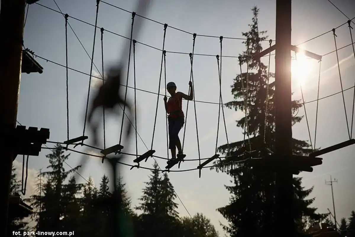 Dziewczyna pokonuje przeszkody na najwyższym parku linowym w Polsce. Słońce przebija się przez drzewa.