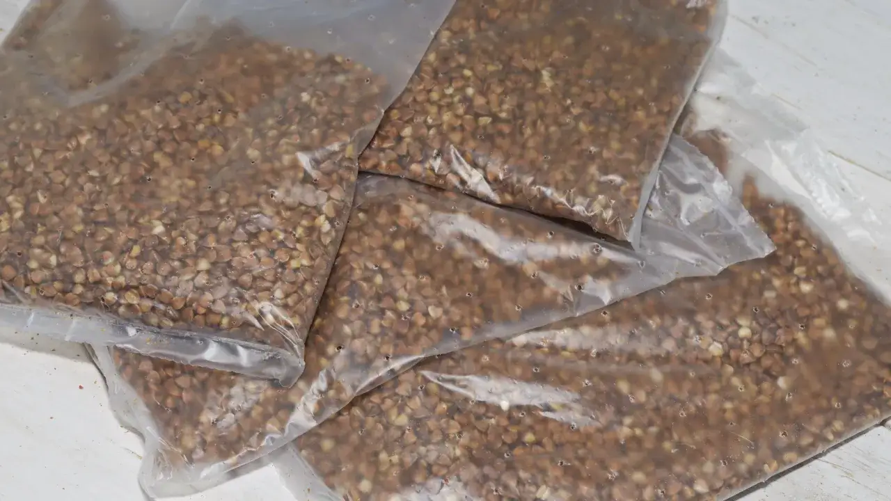 r&oacute;żne rodzaje kaszy w woreczkach