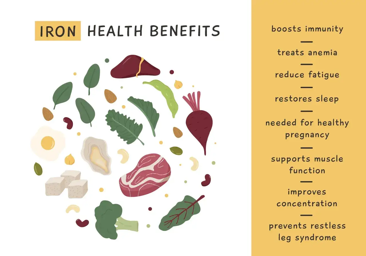 Przykładowa dieta przy anemii: ilustracja pokazuje produkty bogate w żelazo, jak wątr&oacute;bka, mięso, szpinak, brokuły, fasola, buraki, jajka, orzechy i ostrygi.