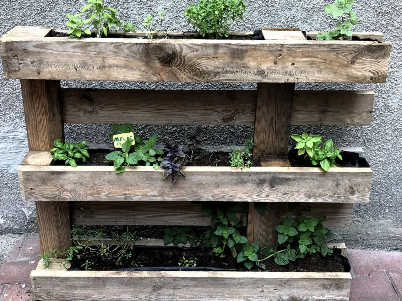 kwietnik z palet z ziołami i warzywami