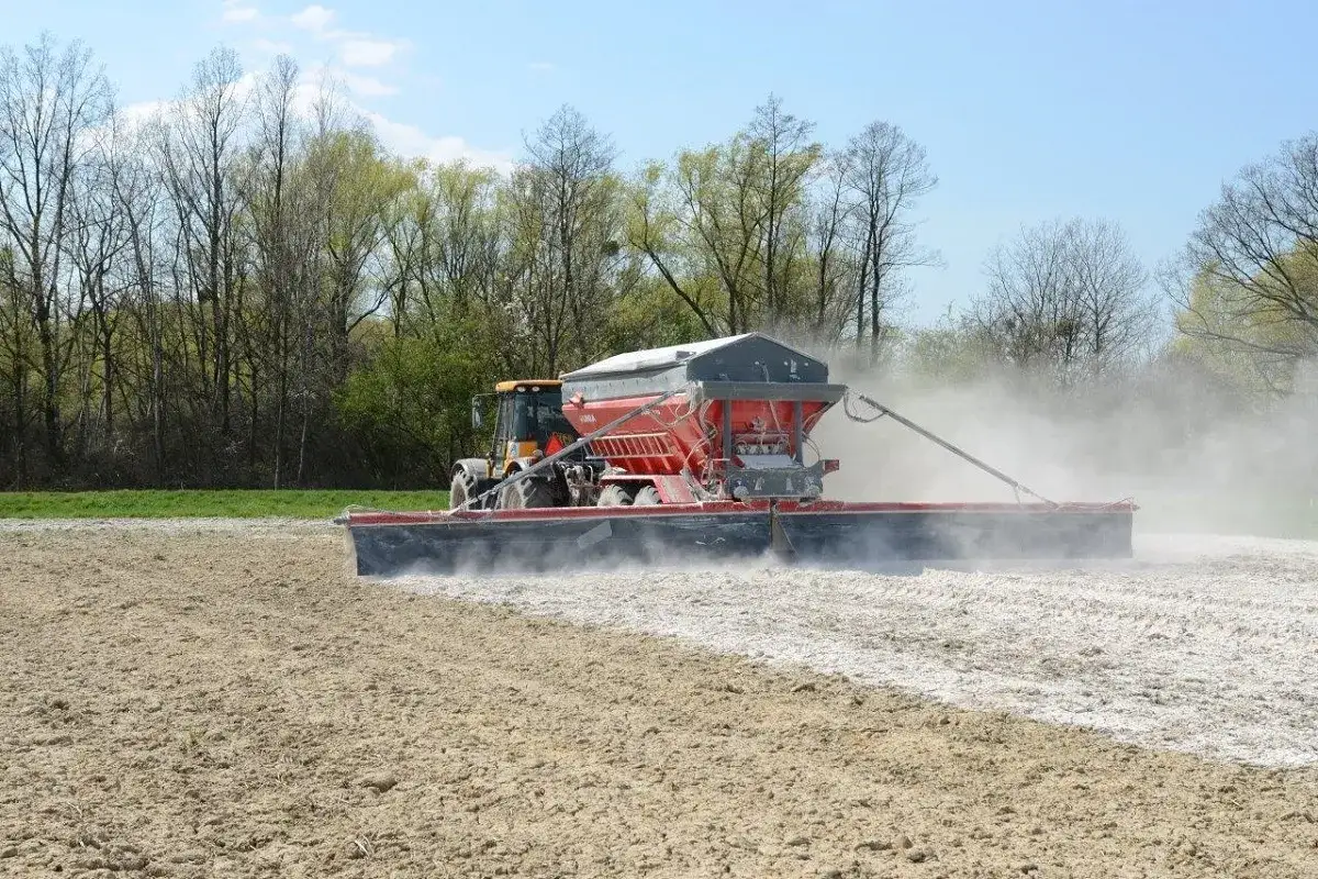 Traktor z rozsiewaczem rozprowadza wapno do ziemi na polu, tworząc biały pas.