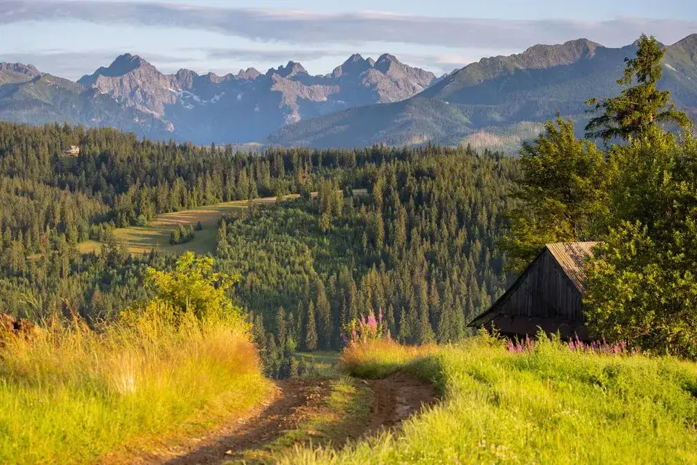 Panorama Tatr z Wierchu Olczańskiego