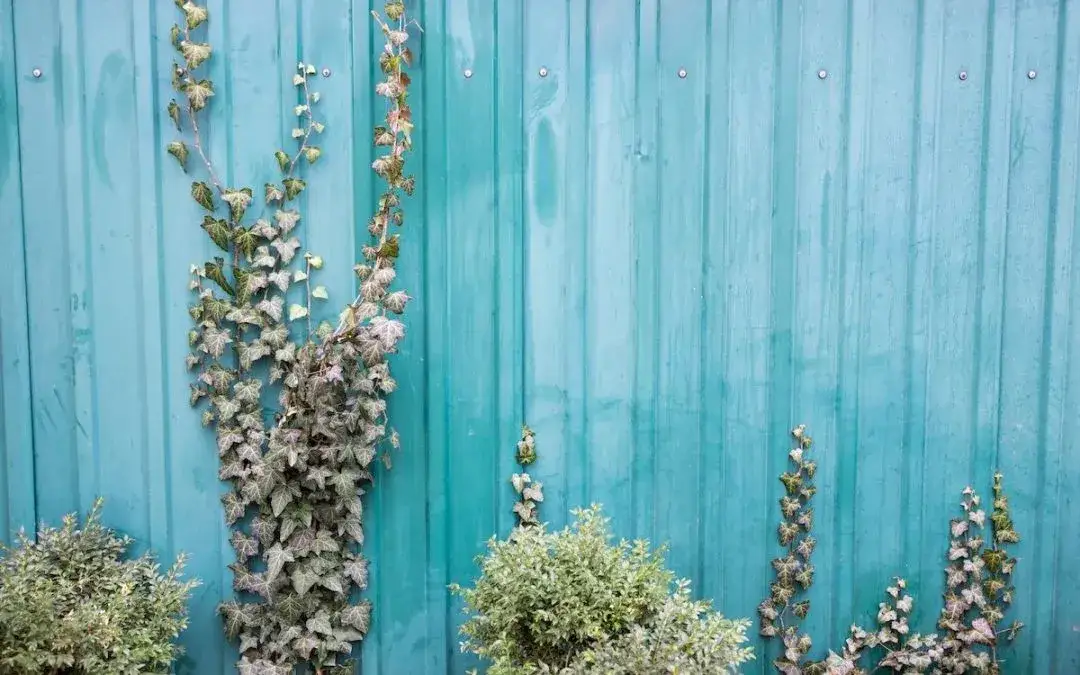 ogrodzenie obsadzone pnączami inspiracje